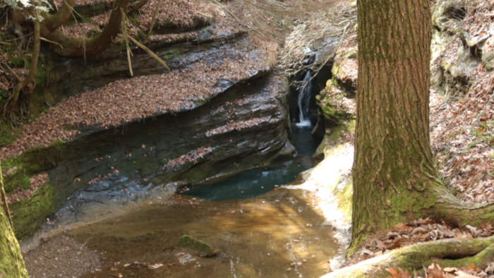 Boch Hollow by permit only, Hocking Hills, Corkscrew Falls. Find this and more in Hocking Hills Hiking Trails. Short-short hikes!