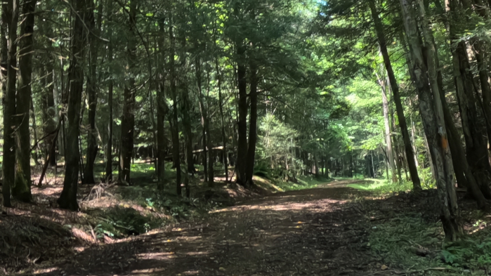 Airplane Rock Trail: Hocking State Forest in Ohio's Hocking Hills