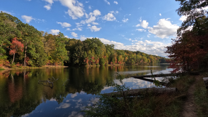 Rose Hollow: Home to a Bigfoot Sighting. Hike the  Trail!