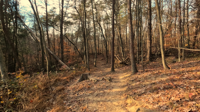 Ash Cave to Cedar Falls Trail: Hocking State Forest where Bigfoot has been sighted