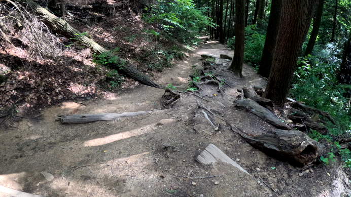 Airplane Rock Trail: Hocking State Forest in Ohio's Hocking Hills