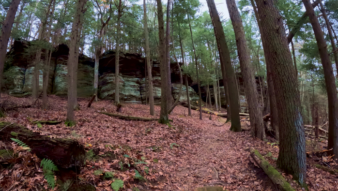 Trail to Balanced Rock/Devil's Tea Table: Hocking State Forest in Ohio's Hocking Hills