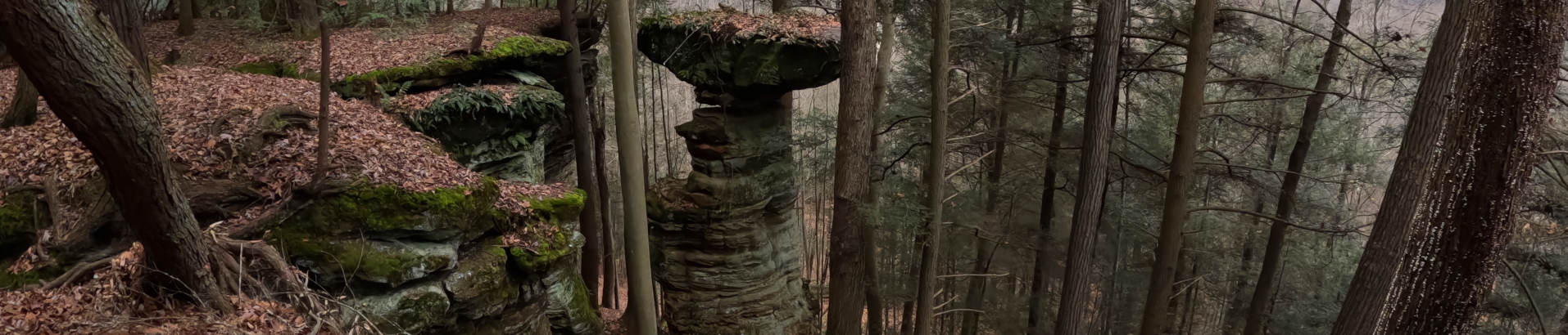 Conkle's Hollow Lower Trail