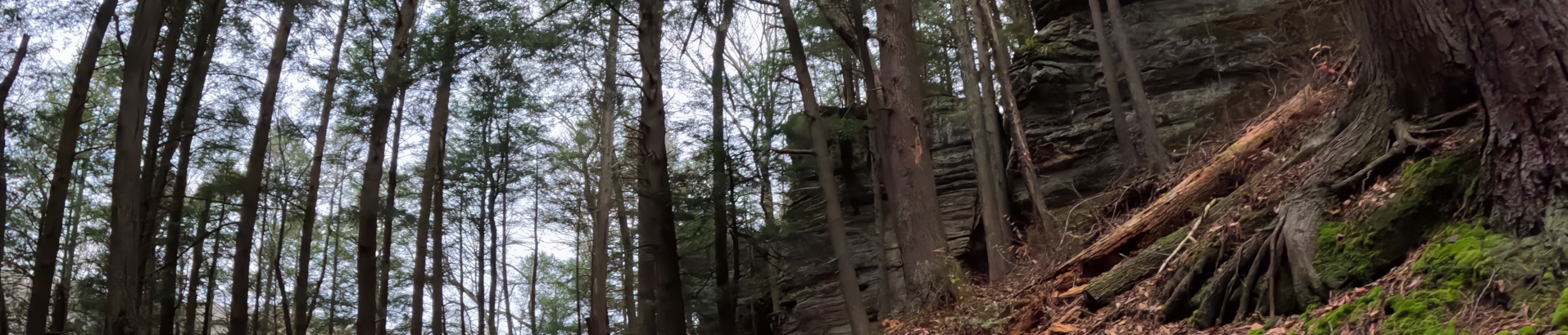 Conkle's Hollow in autumn - Upper Trail.