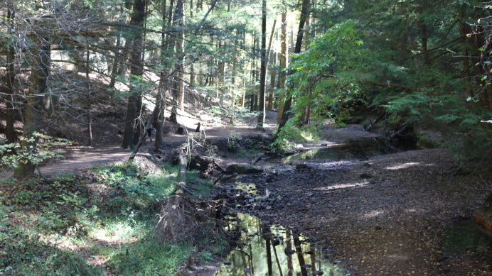 Airplane Rock Trail: Hocking State Forest in Ohio's Hocking Hills