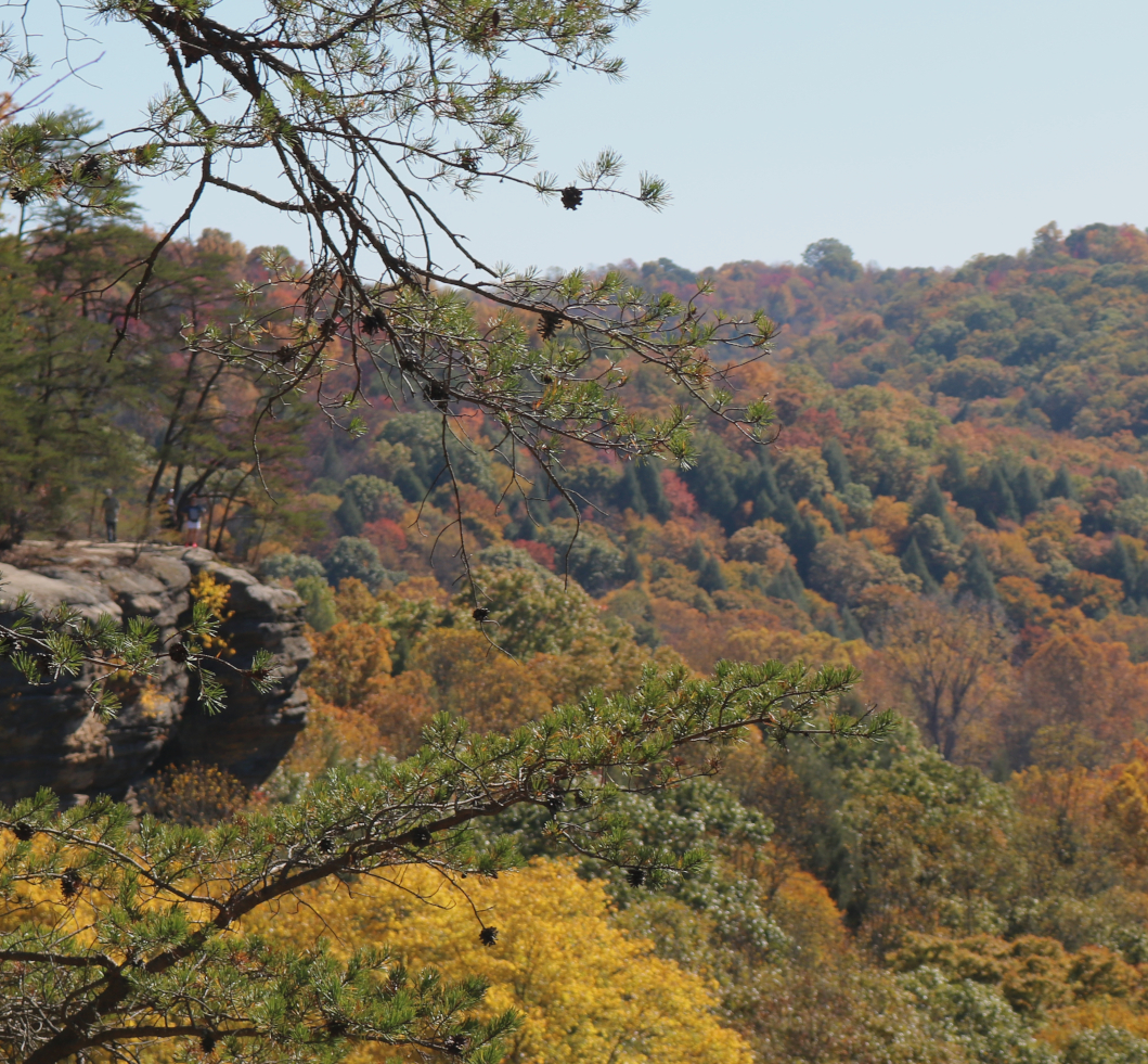 Hocking Hills Fall Colors: Conkle's Hollow in southeastern Ohio