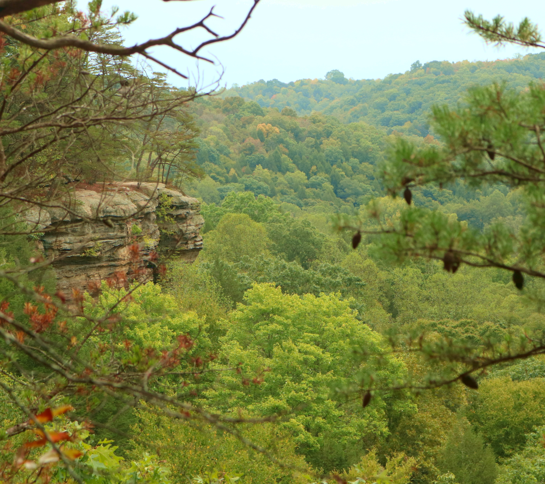 Hocking Hills Fall Colors: Conkle's Hollow in southeastern Ohio