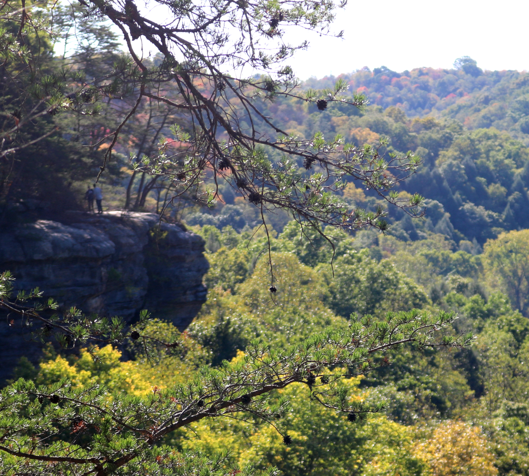 Hocking Hills Fall Colors: Conkle's Hollow in southeastern Ohio