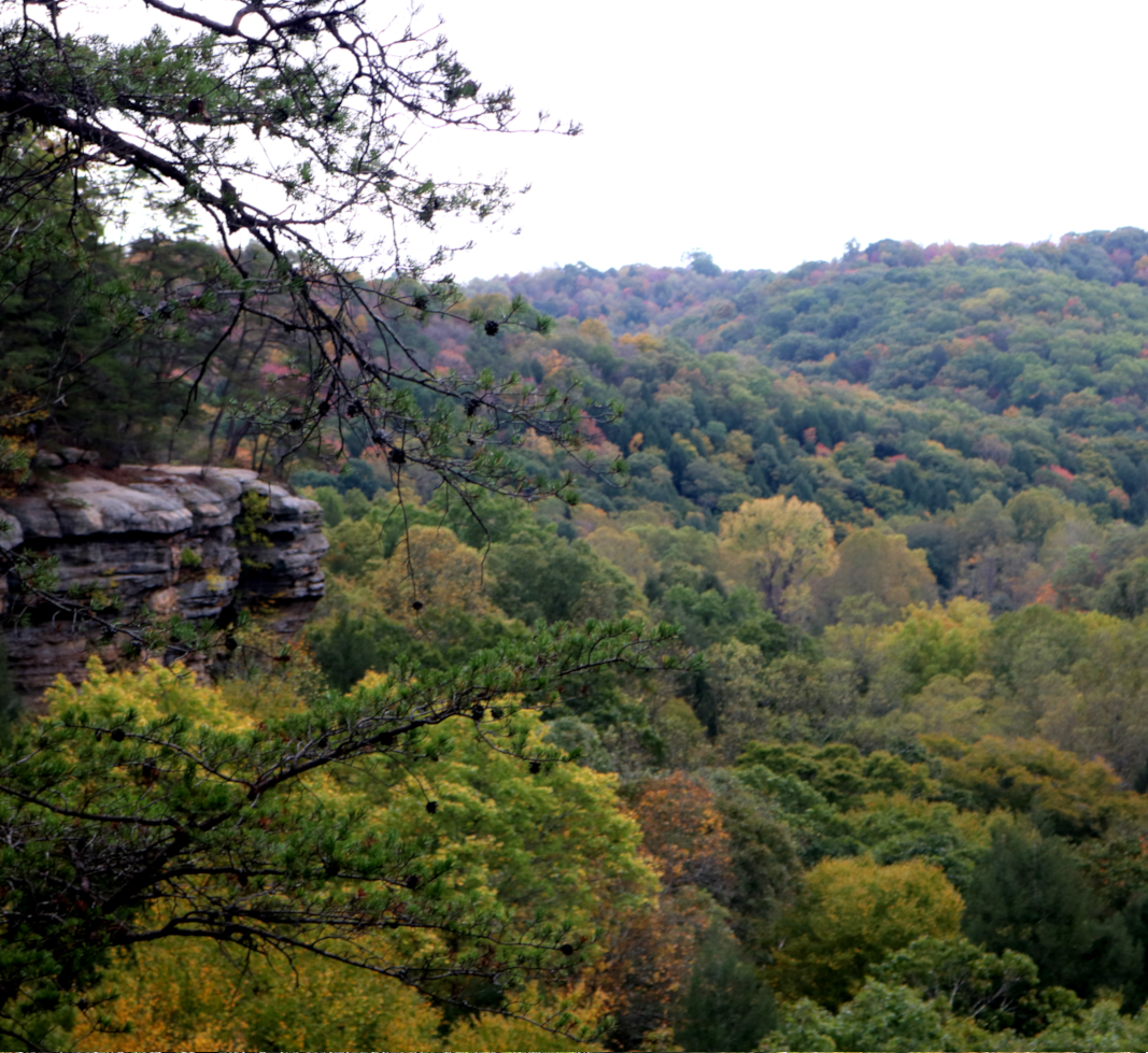 Hocking Hills Fall Colors: Conkle's Hollow in southeastern Ohio