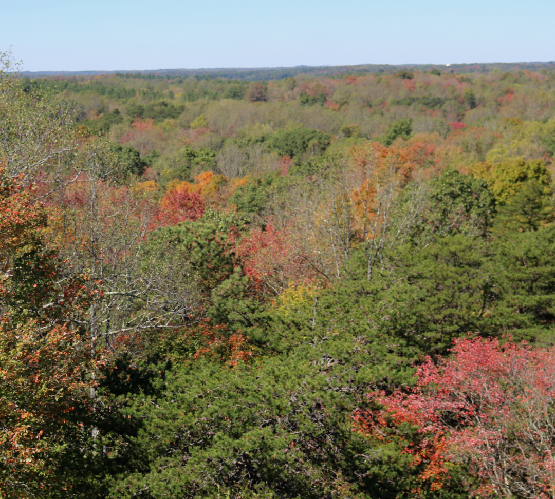 Hocking Hills Fall Colors: Lake Hope Olds Hollow Trail  in southeastern Ohio