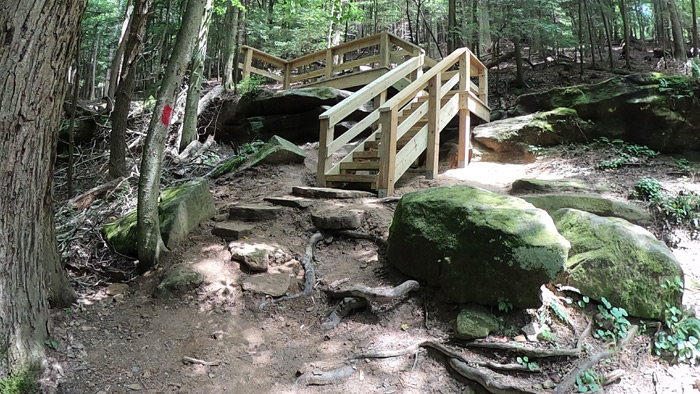 Upper section of Loop Trail, one-way trail system at Ash Cave.