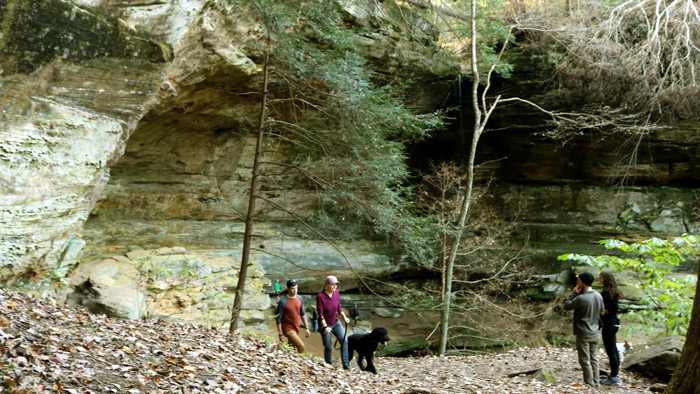 Cantwell Cliffs - part of the Hocking Hills State Park Trail System.