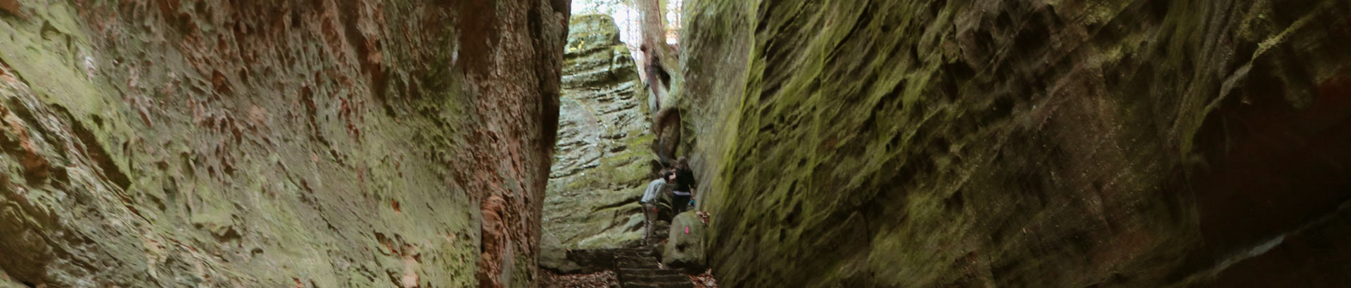 Hiking within Cantwell Cliffs - Hocking Hills State Park.