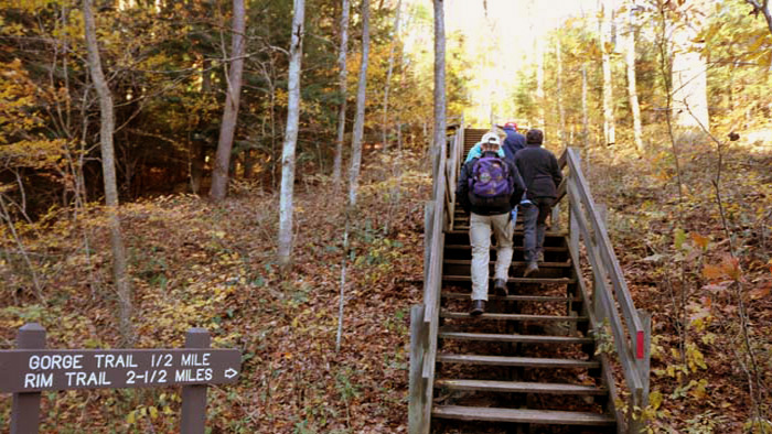 Steps to Upper Trail of Conkle's Hollow State Nature Preserve.