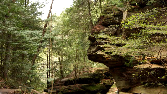 Sphinx Head at Old Man's Cave- Hocking Hills State Park.