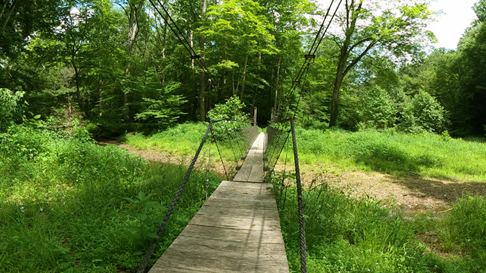 The swinging bridge along the trail.