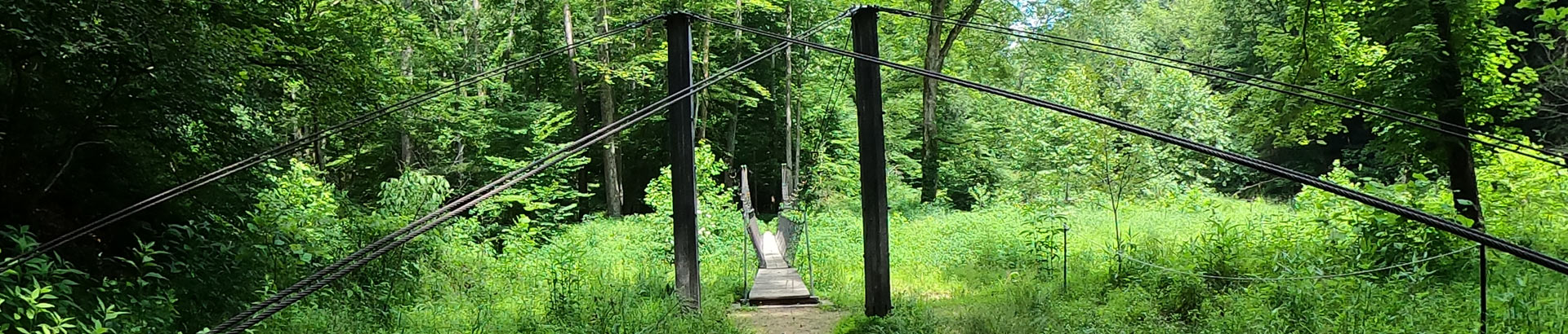 Swinging bridge along the 5 mile Day Hike Loop Trail.