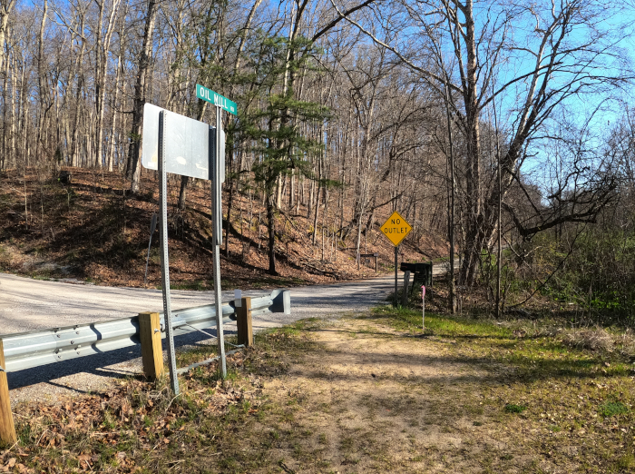 Jacob's Ladder at 

Christmas Rocks State Nature Preserve