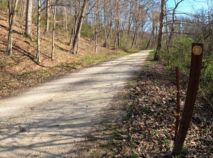 Jacob's Ladder at 
Christmas Rocks State Nature Preserve