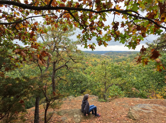 Jacob's Ladder at 
Christmas Rocks State Nature Preserve