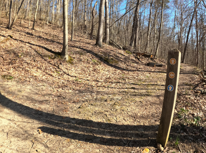 Jacob's Ladder at 
Christmas Rocks State Nature Preserve