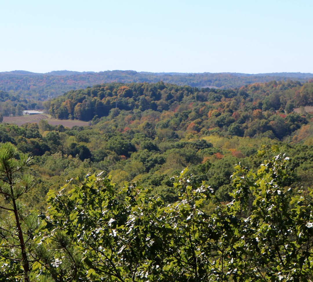 Hocking Hills Fall Colors: Conkle's Hollow in southeastern Ohio