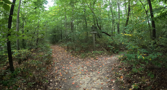 Rock Stalls Nature Preserve: Owned and Operated by Camp Akita: 1.5 mile trail, looped