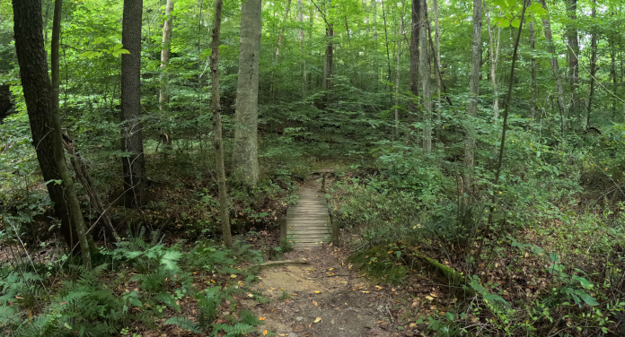 Rock Stalls Nature Preserve: Owned and Operated by Camp Akita: 1.5 mile trail, looped