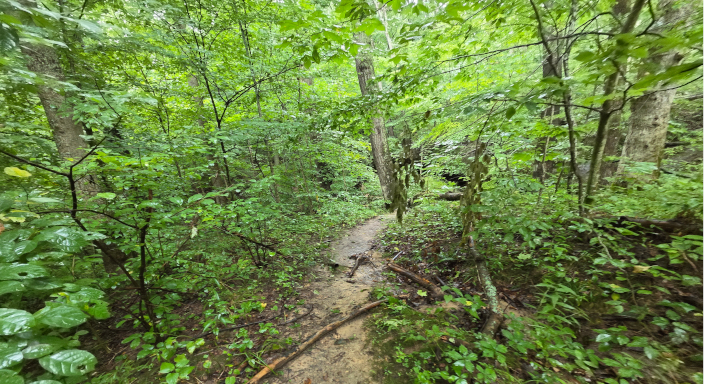 Tinkers Cave Wayne National Forest Trail 