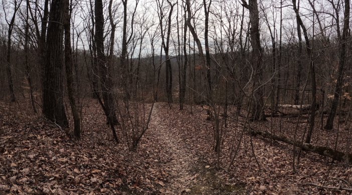 Tinkers Cave Wayne National Forest Trail 