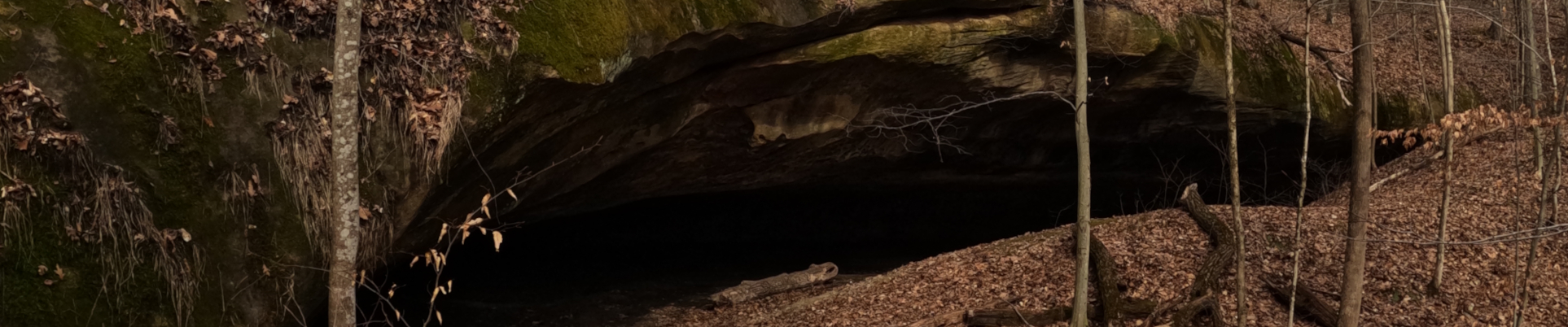 Tinkers Cave Wayne National Forest near Nelsonville Ohio