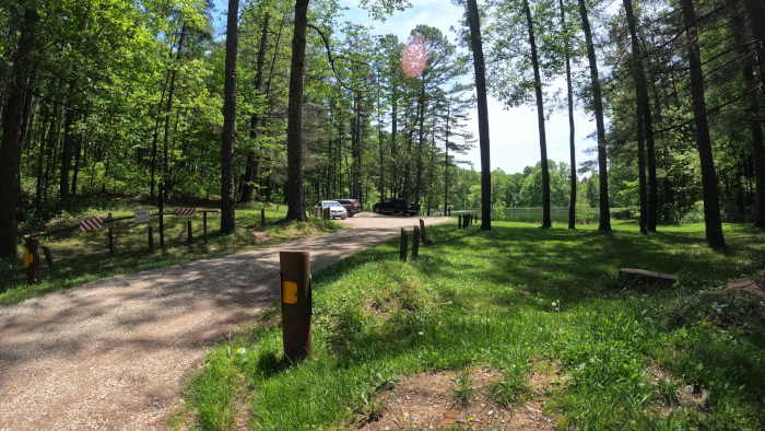 Parking Area for Bullfrog Loop Trail and Holler Collar Trail.