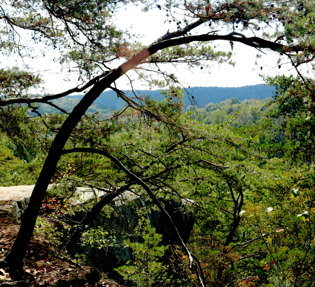 Hocking Hills Fall Colors: Airplane Rock in southeastern Ohio