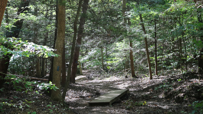 Airplane Rock Trail: Hocking State Forest in Ohio's Hocking Hills