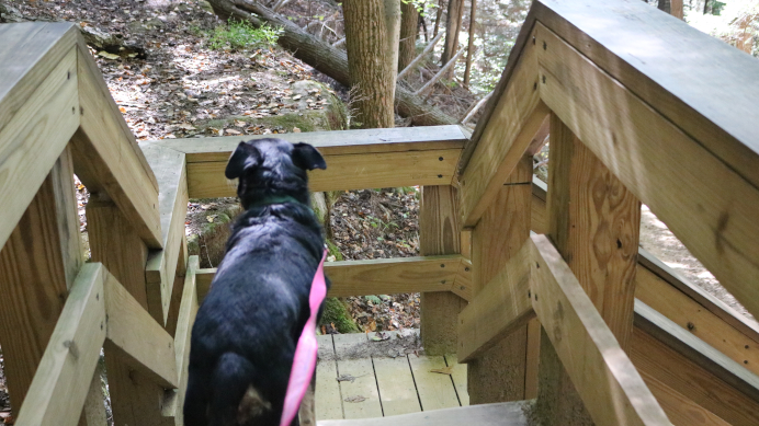 Airplane Rock Trail: Hocking State Forest in Ohio's Hocking Hills