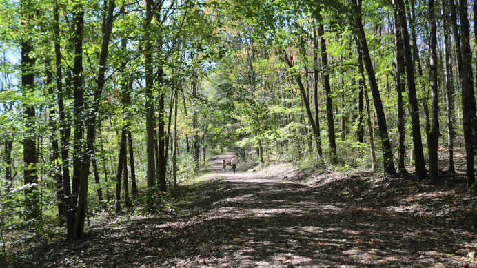 Airplane Rock Trail: Hocking State Forest in Ohio's Hocking Hills