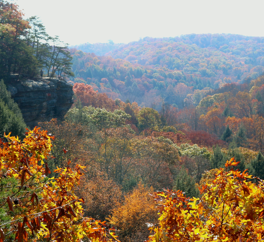 Hocking Hills Fall Colors: Conkle's Hollow in southeastern Ohio