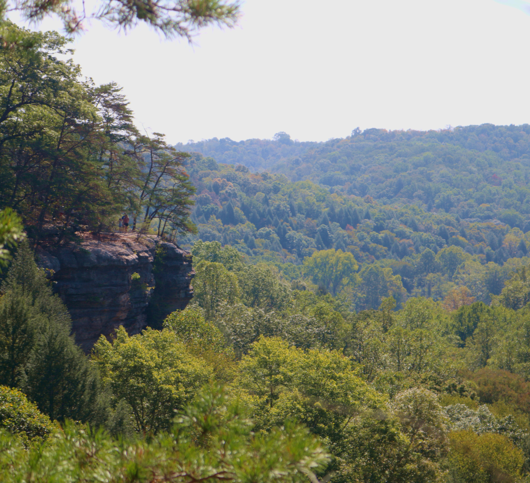 Hocking Hills Fall Colors: Conkle's Hollow in southeastern Ohio