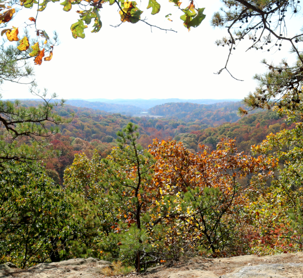 Hocking Hills Fall Colors: Conkle's Hollow in southeastern Ohio