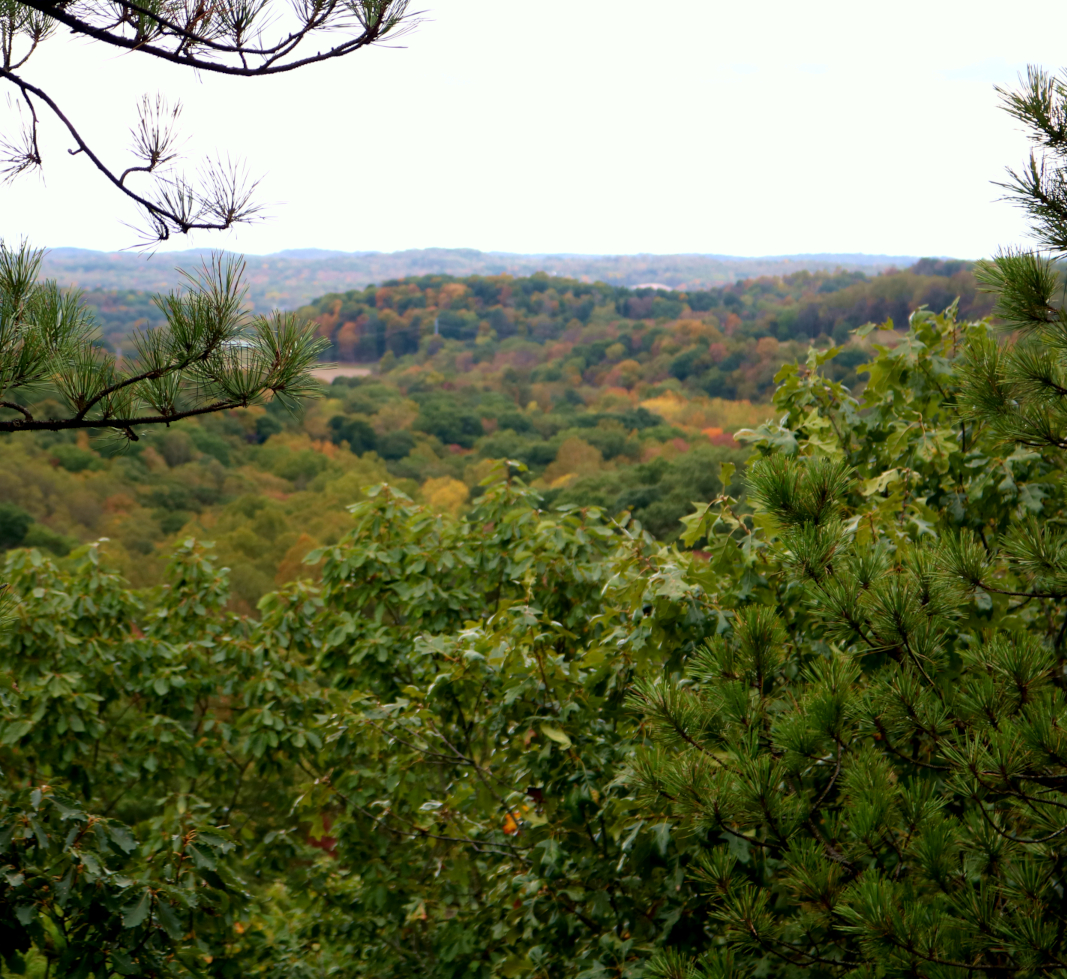 Hocking Hills Fall Colors: Conkle's Hollow in southeastern Ohio